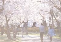 （42）開成山公園