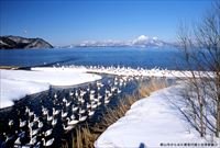 （1）湖南の冬