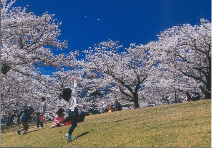 逢瀬公園・緑化センター