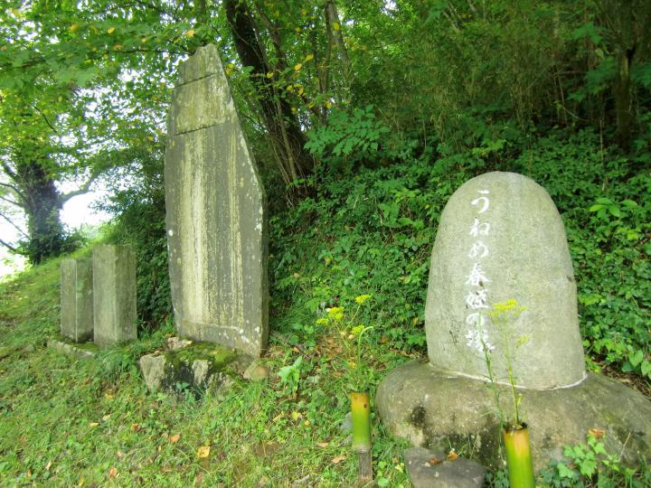 山ノ井農村公園(うねめ公園)